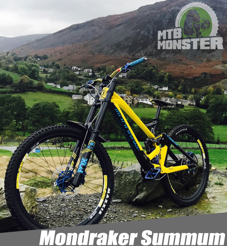 Custom Mountain Bike Examples